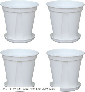 Aؔ I[Lbh|bg Mt rt t[|bg ϗtA XbgAؔ Xbg vX`bN Aؔ | v^[ 4Zbg (zCgiOa14.8