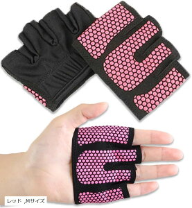 g[jOO[u ؃g  EGCg ʋC Lk }h~ W wȂ (bh, MTCY)