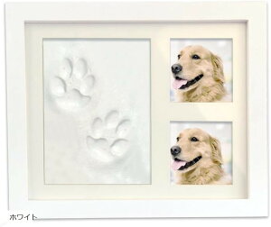 A  L  X^v tHgt[ ` `  Lbg (zCg)