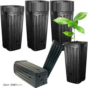 |bg c|bg v^[ [^ O ||bg Aؔ rj[ (ubN, 20cm 50Zbg)