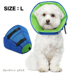 GUxXJ[  L pPA ی y _炩 (u[O[, LTCY)