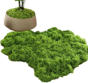 tFCNO[  ~ tFCNX lH eE G} A   (CgO[, 100g)