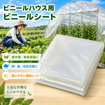 楽天市場】ハウスバリアシートの通販