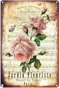 uLŔ K[fjO o KN   AJ G EH[t[ AeB[N (C, 20cmxc30cm)