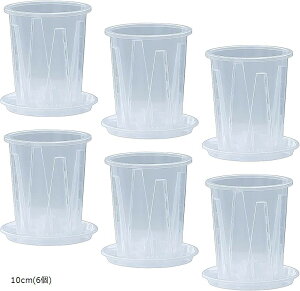  6Zbg Aؔ NA vX`bN Xbg Ӓ 󂯎Mt (NA, 10cm(6))