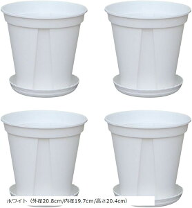 Aؔ I[Lbh|bg Mt rt t[|bg ϗtA XbgAؔ Xbg vX`bN Aؔ | v^[ 4Zbg (zCgiOa20.8