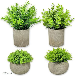 tFCNO[ ϗtA  4_Zbg G} ~j CeA  TCY   lHA (O[, p^[A)