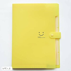 hLgt@C A4 5|Pbg AR[fBI ގ[ ރP[X ()