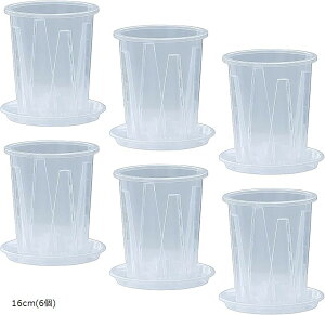  6Zbg Aؔ NA vX`bN Xbg Ӓ 󂯎Mt (NA, 16cm(6))