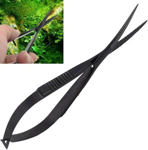  nT~ J[u g~O ͂  EF[u XvO\ | Ȑ Jbg ANAE | (ubN)