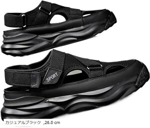 T_ X|[c  AEghA Y W[  C O  ʋC K L (JWAubN, 26.0 cm)