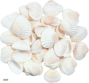 Azmio �L�k �V�F�� �A�N�Z�T���[�p�[�c DIY ��|�p�i �� �l�C���p�[�c �n���h���C�h (shell)