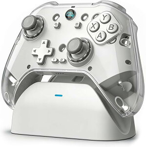 �R���g���[���[ ps4 switch TURBO�A�� �w�ʃ{�^�� �}�N���@�\ 2.4G���V�o�[�t�� RGB���C�g Bluetooth?5.3 ����/�L���ڑ� 6���W���C���Z���T�[ (�z���C�g)