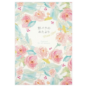 t |XgJ[h ô HGS-505 i11j 210 I[V[Y nKL ͂ teBA FRONTIA