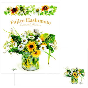 ^[Zbg ĕ sq Ђ܂ PD-564/EV-564 iA-1j 218 6  teBA FRONTIA