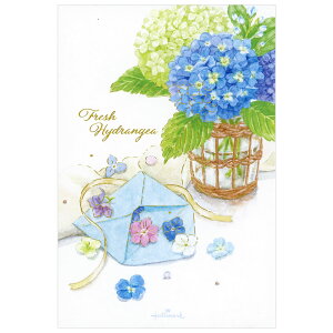 |XgJ[h ĕ AWTC̕ւ CEE-845-001 i12j 8i1j z[}[N