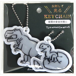 Aj}p[h yAL[z_[ eBmTEX eqiEj NKH-108  Cg𔽎˂ČS΍L[z_[