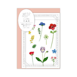 y20OFFz ؉ i\EbJj Ԃ̓J[h ړI K[f SMTC-01 X^ht  O[eBOJ[h Birthday Card a j 