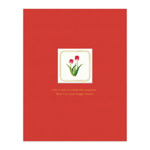 VvF `[bv SYG-13 ܂ \t Ԍtuvuvv 񂹏  bZ[WV[21l/^CgV[1 