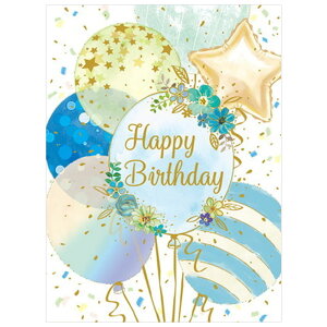 o[Xf[J[h ܂J[h FD B250-223 H `LE CHIKYU