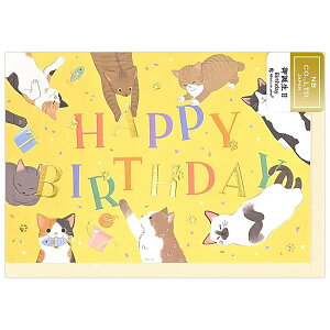 �o�[�X�f�[�J�[�h �V���V�� �a���� �L���b�g 3376302 �����t ��܂� �G�k�r�[�� NB Birthday Card �O���[�e�B���O�J�[�h ���a�����j��