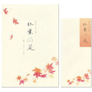 ^[Zbg H B5 H܏W gt 5810263/5811263 i35j 18 5 zO̎qgp NB Gkr[