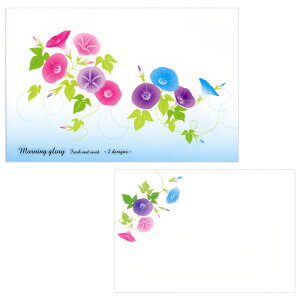 ^[Zbg ĕ B6 T}[J[Y  4590411/4596911 i8j 10i2j 4 NX^H NB Gkr[