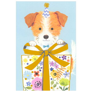 ړIJ[h  ܂ uCN G250-312 CHIKYU o[Xf[J[h Ck pr O[eBOJ[h ʂɂ̓JCCp `LEO[eBOX