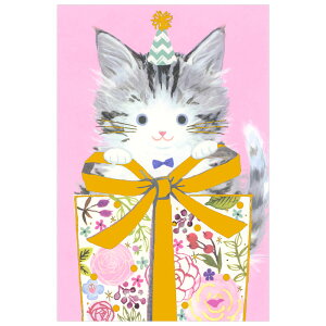 ړIJ[h ˂ ܂ uCN G250-313 CHIKYU lR o[Xf[J[h pr O[eBOJ[h ʂɂ̓JCCp `LEO[eBOX