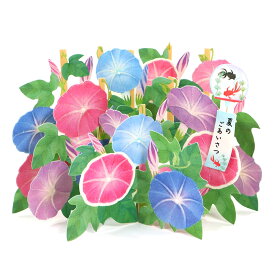 楽天市場 暑中見舞い カード 立体の通販