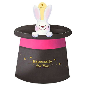 o[Xf[J[h VNnbgETM L1136 TI LтJ[h ̃J[h Birthday Card O[eBOJ[h aj