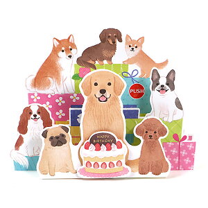 o[Xf[J[h fBJ[h Ck P155 TI ̃J[h dr\ Birthday Card O[eBOJ[h aj