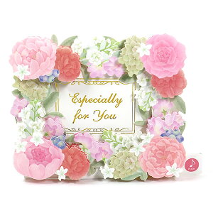 ړIJ[h fBJ[h t[t[ P156 TI ̃J[h dr\ IS[J[h o[Xf[ Birthday Card O[eBOJ[h aj