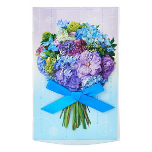 �T�����I ���ăJ�[�h ���Ẳԃu�[�P S2904/JES4-6 �T�}�[�J�[�h ���̃J�[�h ���ړI ���p�r saniro