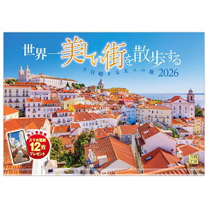 2026 �J�����_�[ �Ǌ|�� �ʐ^�H�[ ���C�h420�iA3�j A-02 ���E��������X���U������ 420×300mm ���Ԃ� �����z���_�[�t �ߘa8�N