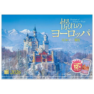 2026 �J�����_�[ �Ǌ|�� �ʐ^�H�[ ���C�h420�iA3�j A-04 �ۂ�̃��[���b�p 420×300mm ���Ԃ� �����z���_�[�t �ߘa8�N