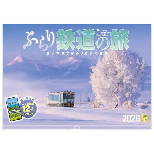 2026 J_[ Ǌ| ʐ^H[ Ch420iA3j A-14 ԂS̗ 420×300mm Ԃ z_[t ߘa8N