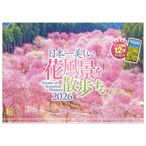 2026 カレンダー 壁掛け 写真工房 ワイド420(A3) A-21 日本一美しい花風景を散歩する 420×300mm 中綴じ 透明ホルダー付 令和8年