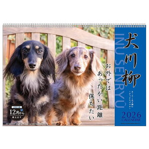 2026 J_[ Ǌ| APJ 019 _bNX 2025N12n FSCF؎ A[gvgWp ߘa8N   Ck ELV[Y