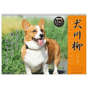 2026 J_[ Ǌ| APJ 020 R[M[ 2025N12n FSCF؎ A[gvgWp ߘa8N   Ck ELV[Y 20N