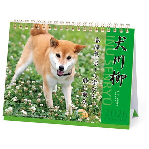 2026 J_[  APJ 028  FSCF؎ A[gvgWp ߘa8N   Ck ELV[Y