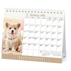 2026 J_[  APJ 034 e A[gvgWp ߘa8N   Ck ELV[Y