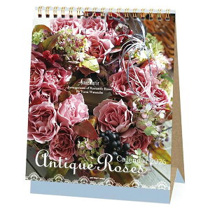 2026 J_[  APJ 058 AeB[N[Y A[gvgWp ߘa8N ԃtHgV[Y