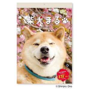 2026 J_[ Ǌ| Č܂ N-K4010 ߘa8N V{J_[