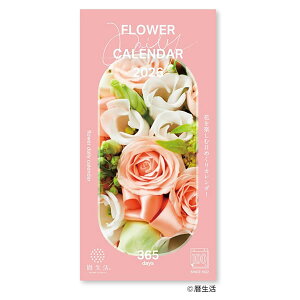 2026 J_[  Ԃ̓߂ NK-8829  ߘa8N V{J_[ 