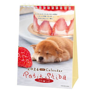 2026 J_[  ACTIVE Ղ 26ACL-545 2026N1n܂ ߘa8N ANeBuR[|[V   Ck