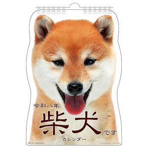 2026 J_[ Ǌ| ACTIVE Čł 26ACL-65 2026N1n܂ ߘa8N ANeBuR[|[V _CJbg   Ck