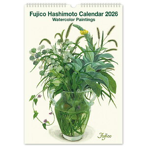 2026 J_[ Ǌ| {sq CeAJ_[ LTCYiH415×W290mmj CAL-194 ߘa8N teBA