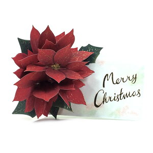 クリスマスカード 洋風 フラワーポップアップカード LY-27 ポインセチア グリーティングライフ Christmas card グリーティングカード