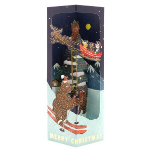 NX}XJ[h m IJ^IJ NX}X{bNXJ[h XL[ OK-24 ̃J[h O[eBOCt Christmas card O[eBOJ[h